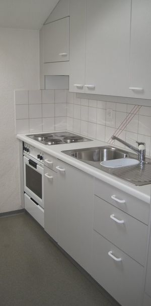 Charmante Wohnung im Grünen von Adliswil mieten - Photo 1