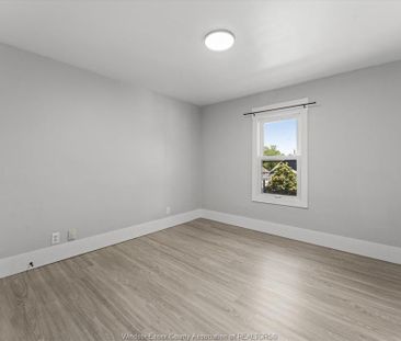 For Lease - 371 Curry, Windsor, Ontario - Photo 4