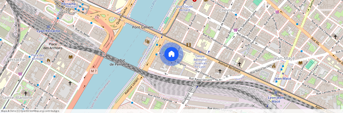 9 RUE ETIENNE ROGON, LYON 7EME ARRONDISSEMENT Centre Berthelot