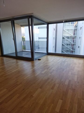 A saisir ! Sublime duplex dans un quartier calme et verdoyant ! - Photo 5