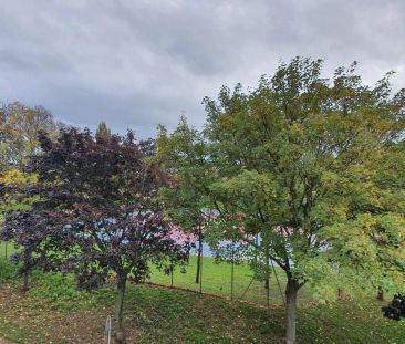 Appartement à louer 2 pièces 33.8m² - Photo 3