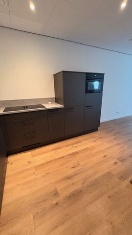 Jan Steenstraat 1B - Photo 4