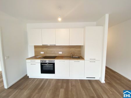 Mietwohnungen in der Natur: Ihr neues Zuhause im Tullnerfeld - Photo 5