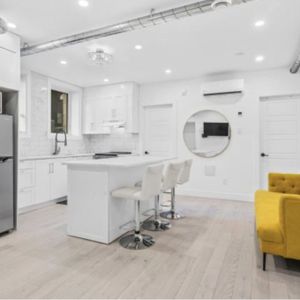 McGill Area - Superb 4 1/2 Furnished - Photo 2