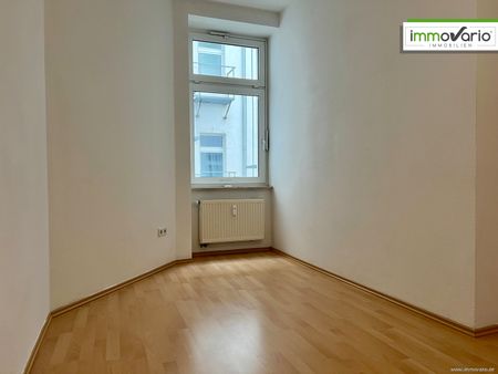 Mitten in der Altstadt! Gemütliches 2-Raum-Apartment im Seitenhaus mit neuer Einbauküche & Duschbad - Photo 5