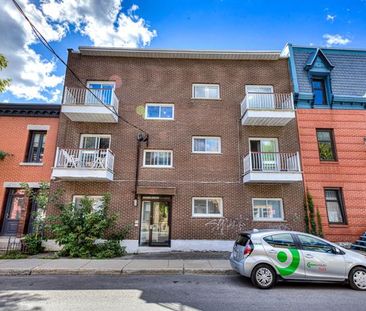 3910 Av. Henri Julien - Photo 6
