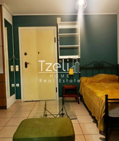 Studio/Γκαρσονιέρα για ενοικίαση Κυνοσάργους (Νέος Κόσμος) - Photo 2