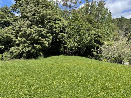 614d Paparoa Station Road, Paparoa - Photo 5