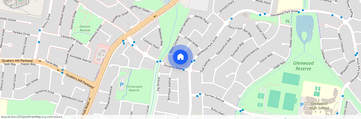 21 Nydeggar Avenue, NSW 2768, Glenwood