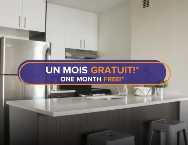 1101 Rachel | 1101 rue Rachel Est, Montreal - Photo 1