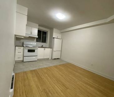 Brand New 1 1/2 Studio All Furnished - Photo 4