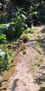 Lovely centrally located Villa. - Photo 4