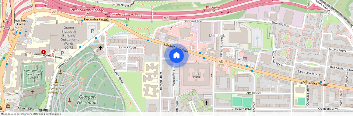 9 Hanson Park, Dennistoun, G31 2HJ, G31 2HJ, Glasgow