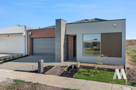 13 Monteverde Street, Armstrong Creek VIC 3217 - House For Rent | Domain - Photo 3