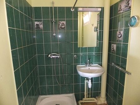 rue des Robertoux, 63370, Lempdes - Photo 4