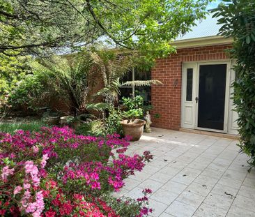 Large home with land and paddocks - Photo 4