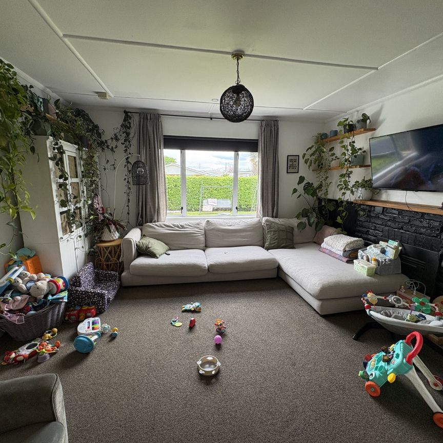 604b Elm Road, Akina - Photo 1