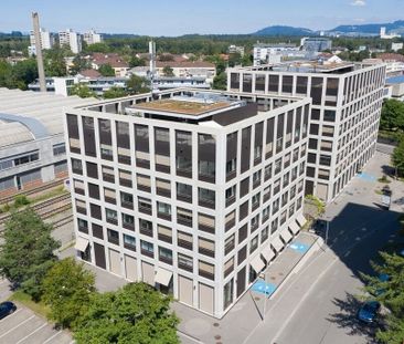 Moderne 2.5 ZWG avec immense terrasse partagée sur le toit - Photo 5