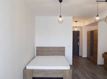 Apartament 1 camera, 38 mp, decomandat, Pet Friendly, mobilat modern, zona Iulius Mall - Fotografie 4