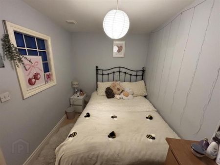 Apt 2 Nova Studios, 167 University Street, Ormeau Road, Belfast, BT7 1HR - Photo 2