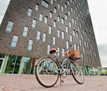 Appartement te huur: Het Hout 167 9723 LC Groningen - Foto 1