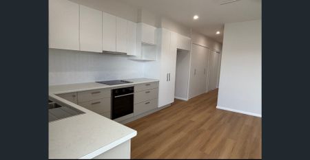 Brand New & Private Granny Flat - Photo 3