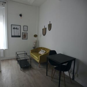 Appartement 1 pièce à Lille - Photo 2