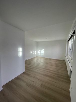Frisch sanierte 1.5-Zimmer-Studios im Herzen von Zürich zu vermieten - Foto 1