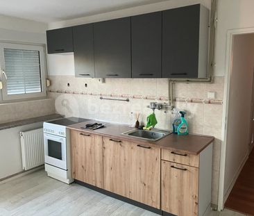 Pronájem bytu 2+1 • 50 m² bez realitkynám. Draha, Hřebeč - Hřebeč, ... - Photo 1