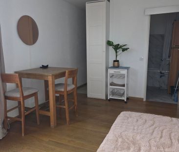 Location Appartement 1 pièce 25m² - Photo 3