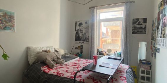 McGill Area - Superb 5 1/2 Furnished - Photo 3