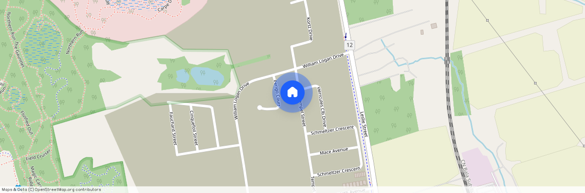 84 TEMPEL STREET, Richmond Hill