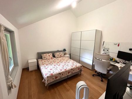 Grosszügige Maisonettewohnung im Grünen - Foto 3