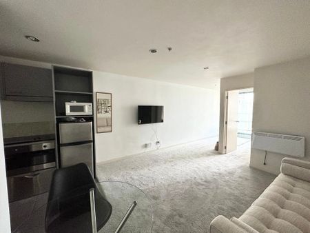 Spacious, furnished apartment in the City Gardens Apartments - Photo 3