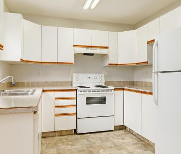 Renovated Suite - 3 Bedroom - Photo 2