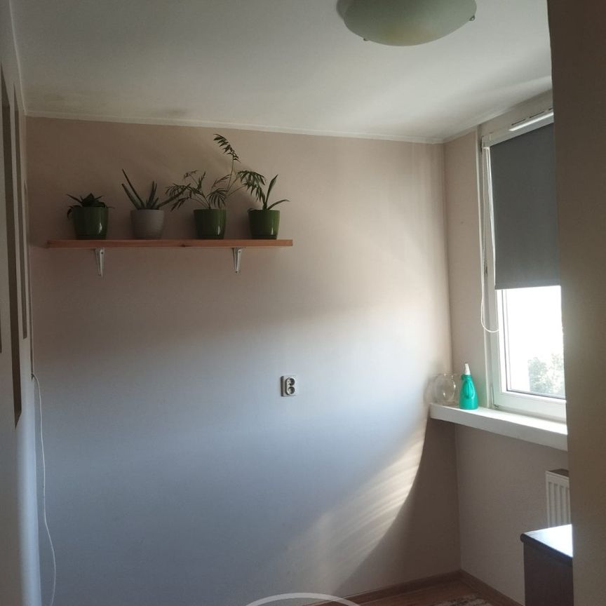 2 pok. mieszkanie na Nowym Dworze - Zdjęcie 1