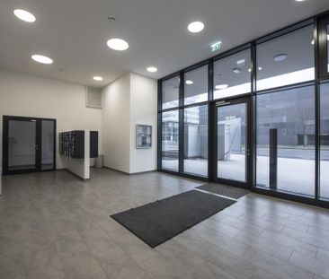 Provisionsfrei für den MIETER! Lenauterrassen - NEUBAU | 2-Zimmer-W... - Photo 1