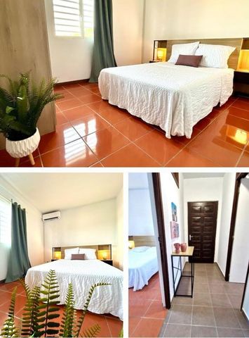 Location Appartement 2 pièces 45m² CAYENNE 97300 - Photo 2