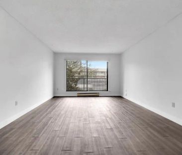 Dolphin Square Apartments — 1 Bedroom available at 8200 Park Road, ... - Photo 2