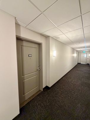 For Lease - 830 Megson Terrace Unit# 215, Milton, Ontario - Photo 1