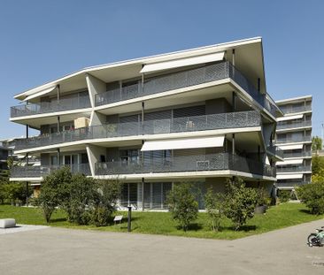 MIETEN OHNE KAUTION - Moderne EG-Wohnung sucht neue Mieter in Brugg - Foto 1