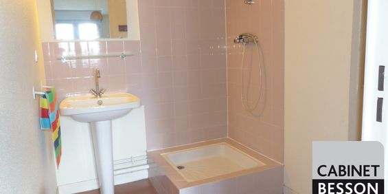 Location Appartement 1 pièce 18m² GRENOBLE 38000 - Photo 3