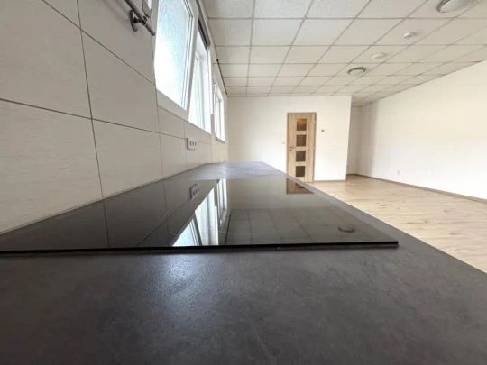NABÍDKA PRONÁJMU PROSTORNÉHO BYTU 2+KK, V MALEBNÉ OBCI HRUŠOVANY U BRNA - Photo 1