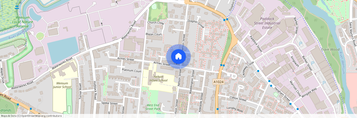 Nelson Street, Norwich, NR2