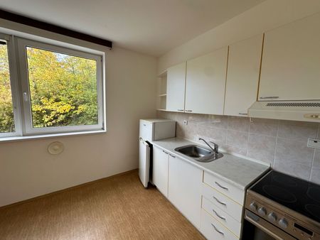 Pronájem bytu 1+kk • 36 m² bez realitkyZahradníčkova, Praha - Košíře - Photo 3