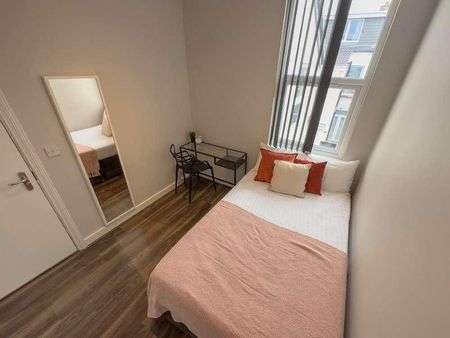 Empress Road, L7 - Photo 5