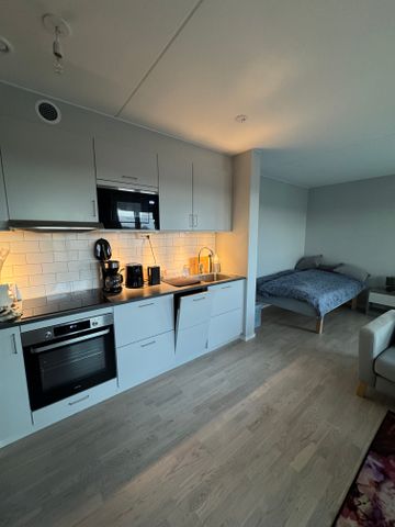 Skådemyntsgatan, Göteborg - Photo 3