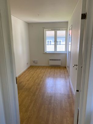 Marmaberget: Etta med fiber - Foto 1