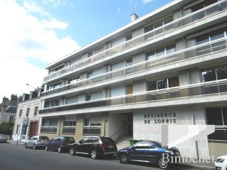 Appartement à louer, 2 pièces - Orléans 45000 - Photo 3