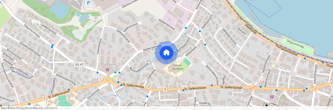 Bachfeldstr. 19, 9403, Goldach